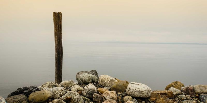 Oasis Fox户外装备79：重新定义探险旅行与露营的智能解决方案