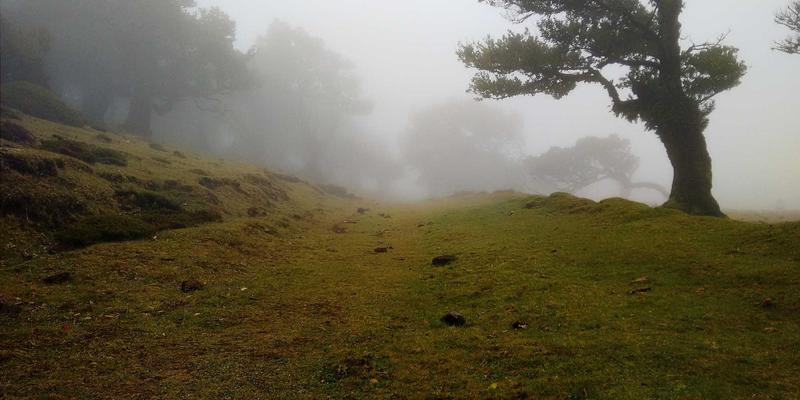 徒步摄影全攻略：从帐篷防潮到快装系统，守护你的户外装备