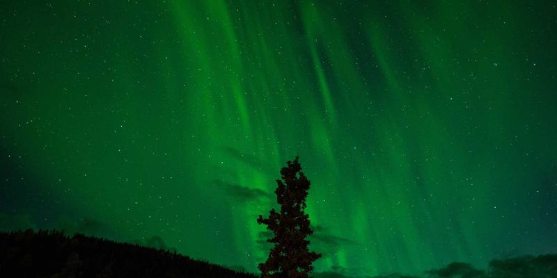 户外装备61 | 背包、Oasis Fox帐篷选购指南与搭配技巧