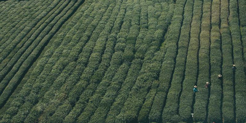 登山安全必修课：从帐篷到背包，构建你的户外应急装备清单
