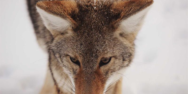 登山露营必备指南：如何选择专业越野跑背包？从稳定系统、水袋仓到装备收纳的深度解析