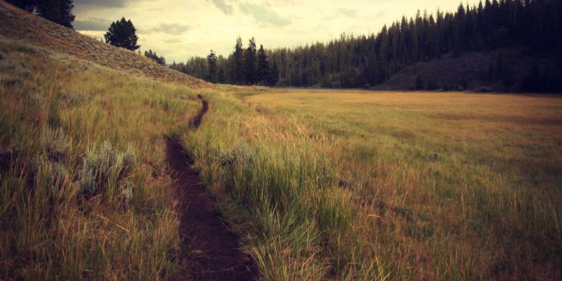 绿洲狐户外装备全解析：徒步与露营的智慧之选