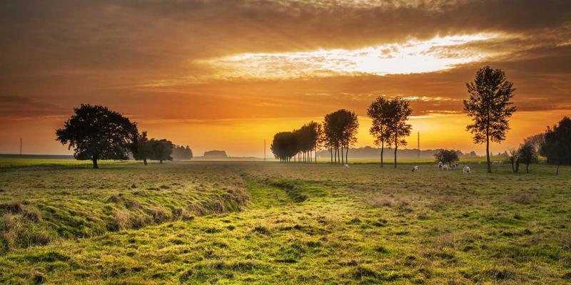 轻量化背包客的终极装备清单：用Oasis Fox帐篷（绿洲狐）实现安全与减重的完美平衡